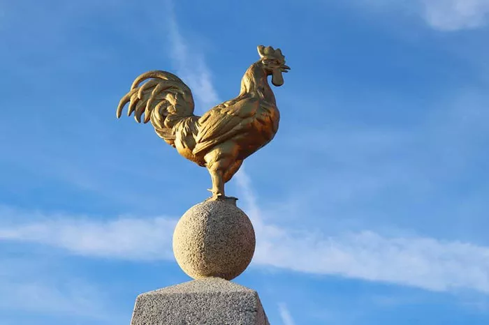Gallic Rooster Symbol