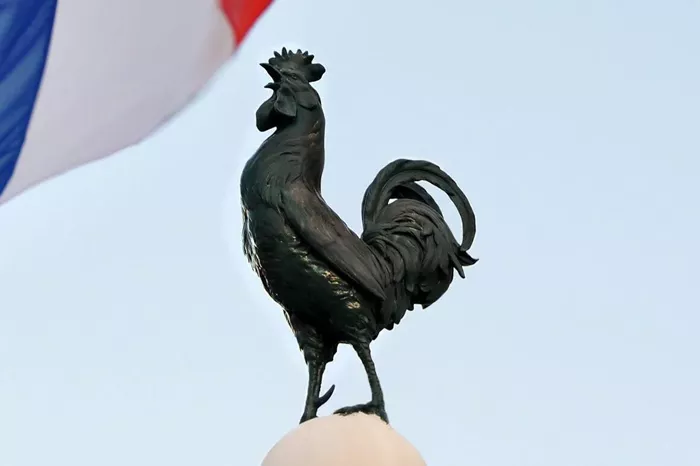 french gallic rooster