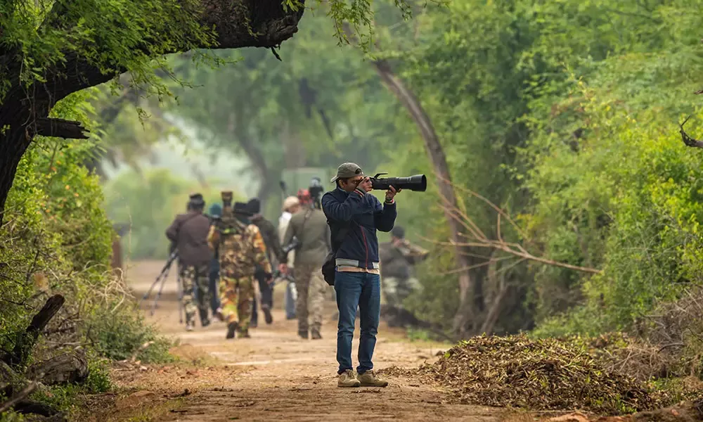 Best Time to Visit Bharatpur Bird Sanctuary