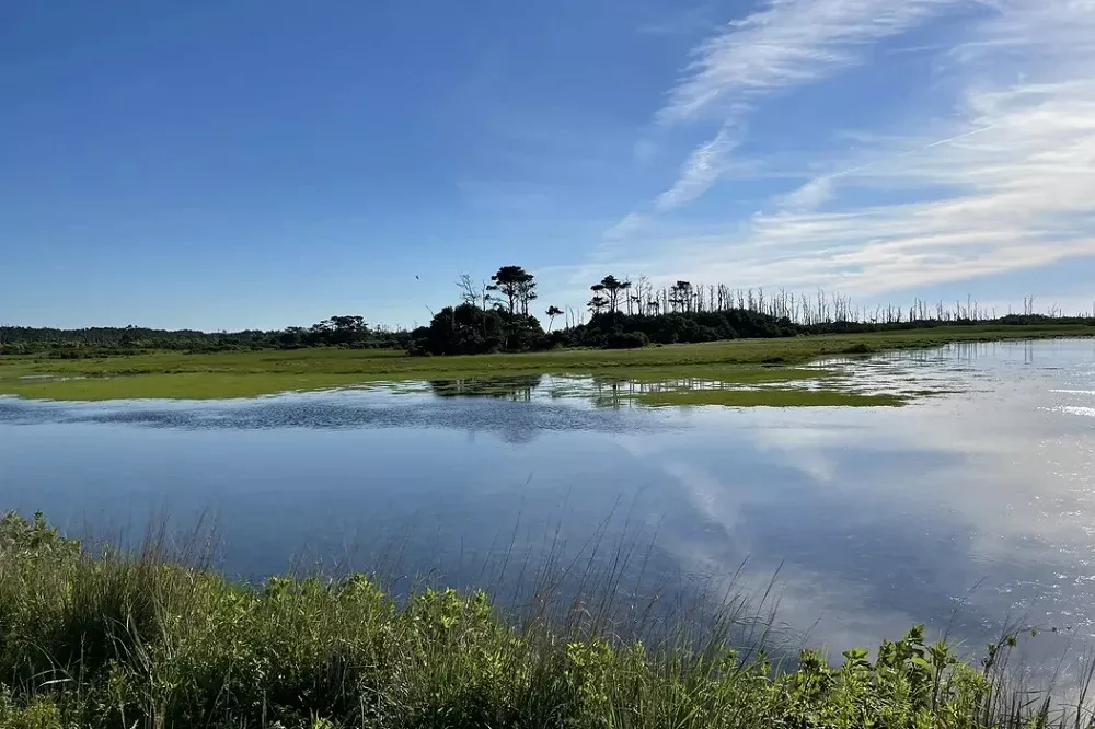 Chincoteague National Wildlife Refuge