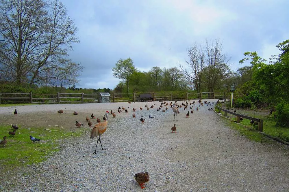 George C. Reifel Migratory Bird Sanctuary