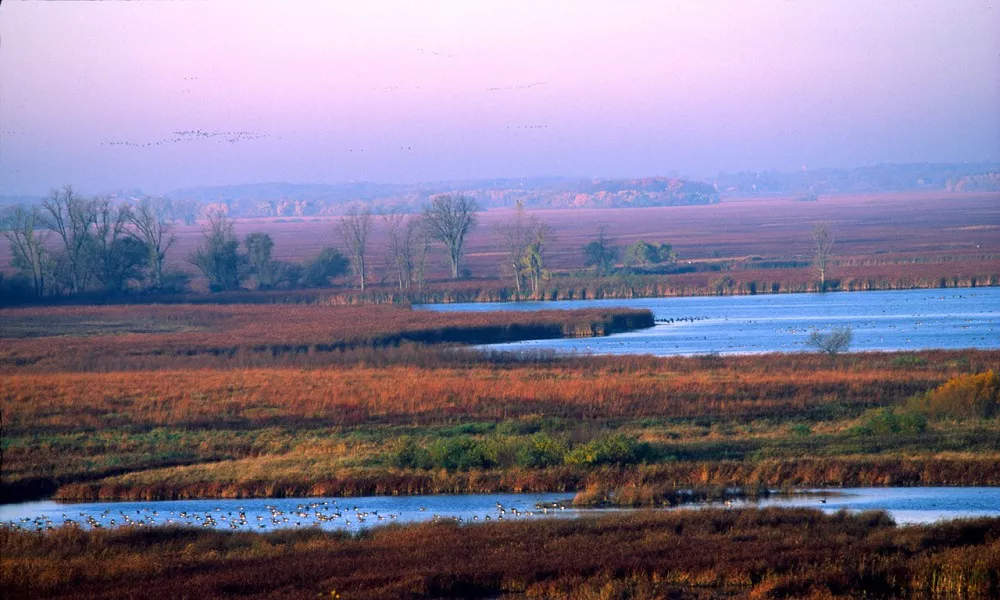 Horicon Marsh