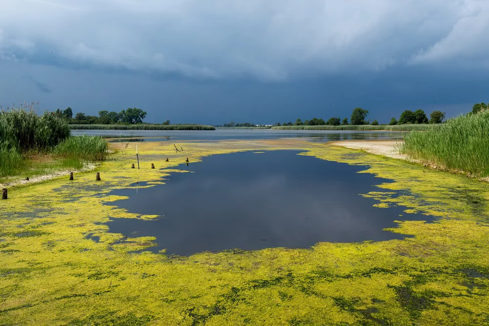 Jamaica Bay Wildlife Refuge