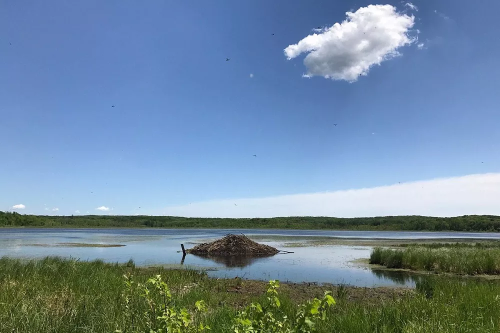 Tamarac National Wildlife Refuge
