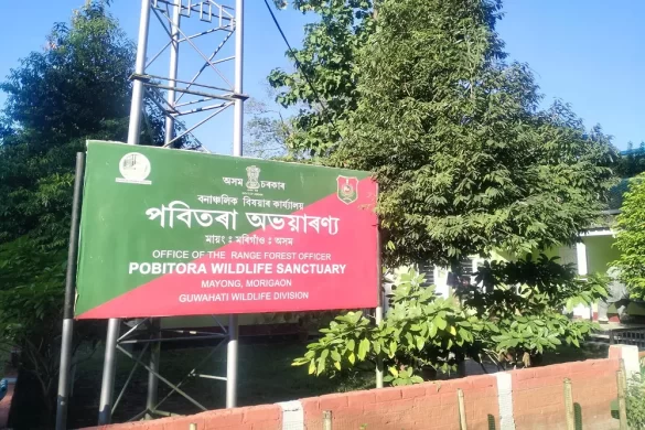 Pobitora Wildlife Sanctuary