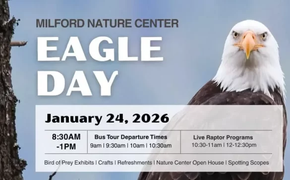 Milford Nature Center to Host Eagle Day with Free Bald Eagle Tours on January 24